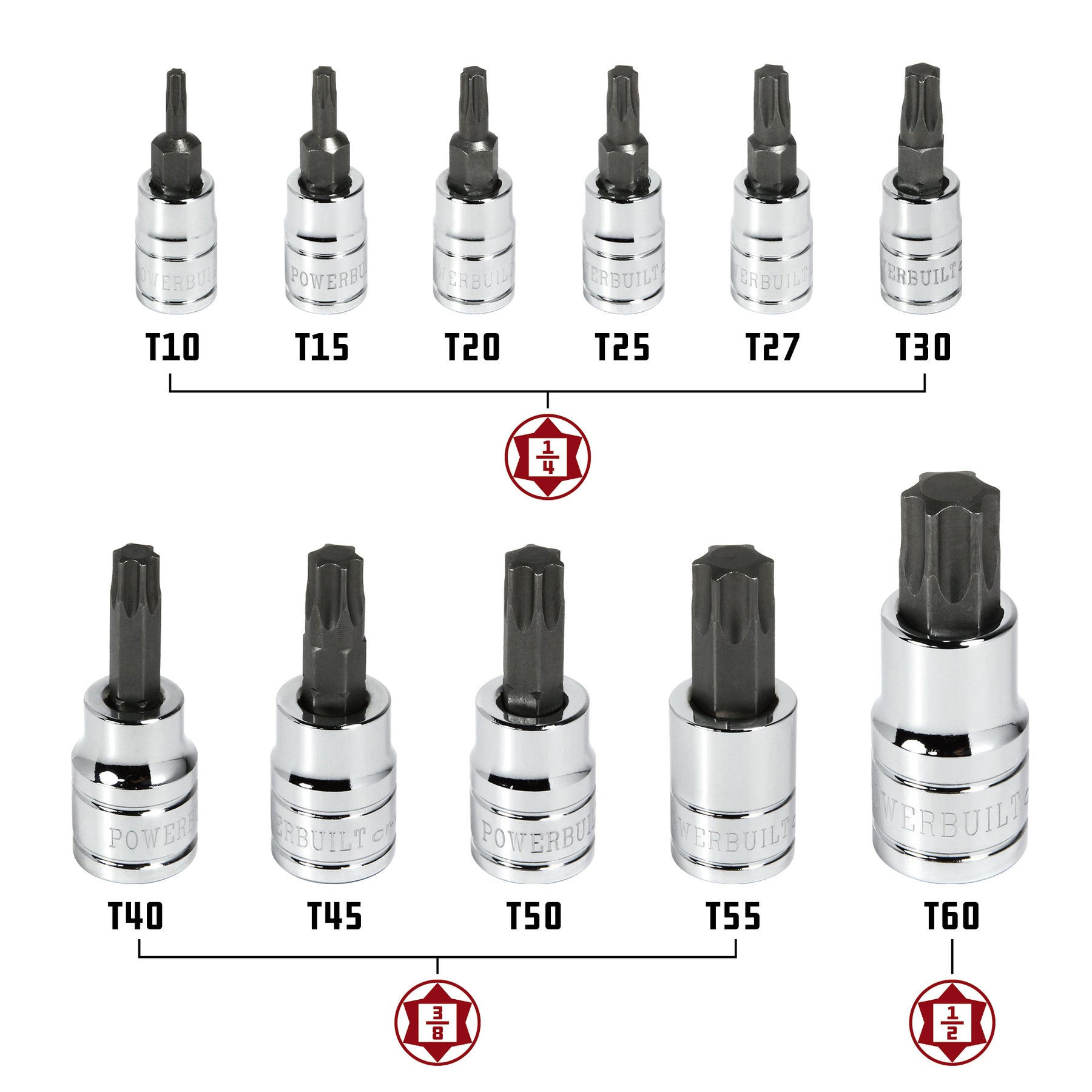 12 Piece Torx Bit Socket Set