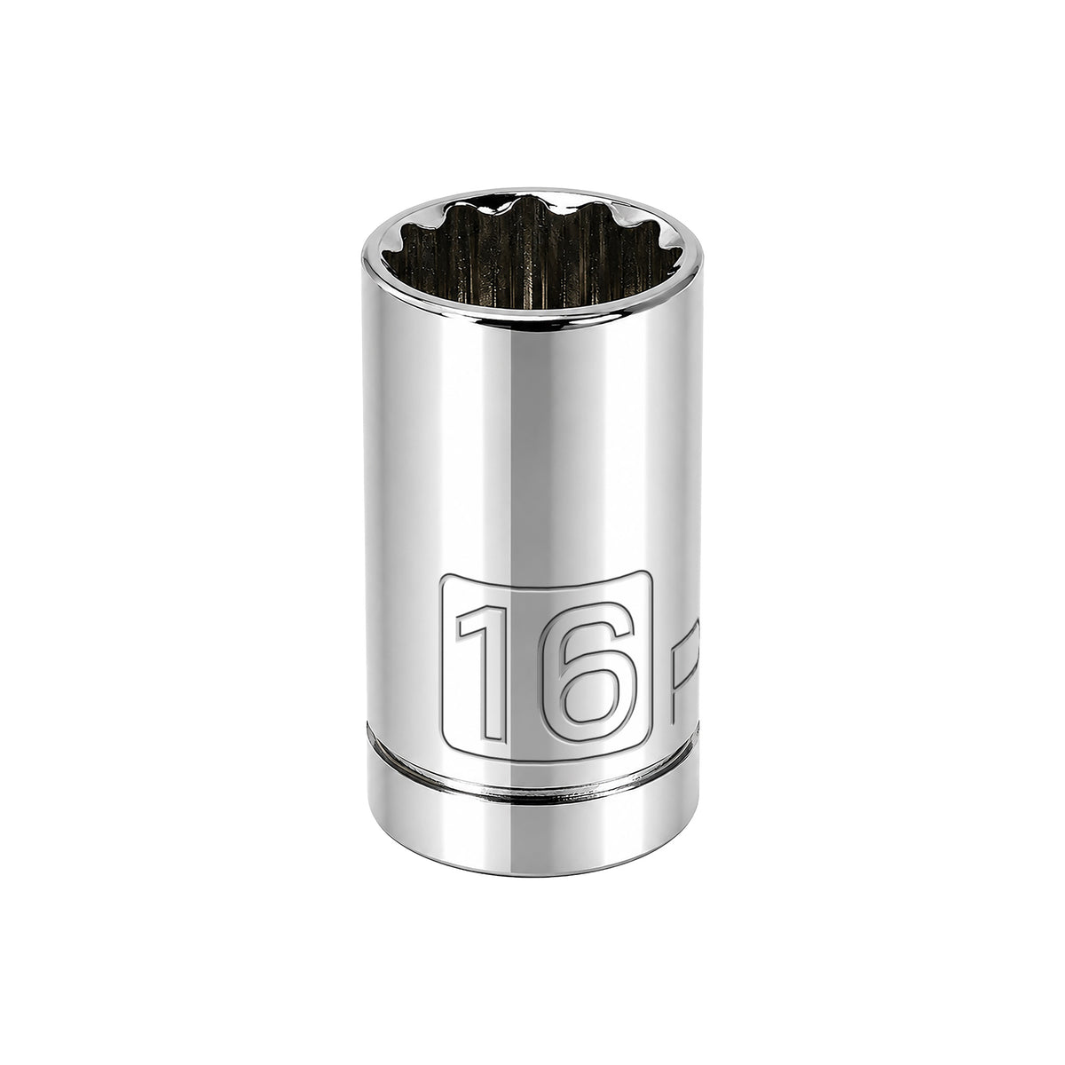 1/2 Inch Drive x 16 MM 12 Point Shallow Socket