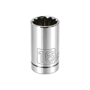 1/2 Inch Drive x 16 MM 12 Point Shallow Socket