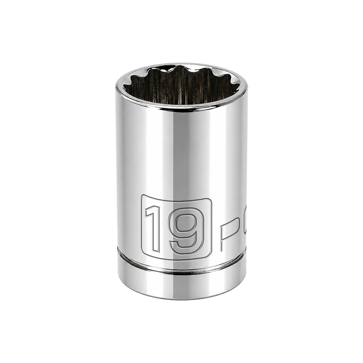 1/2 Inch Drive x 19 MM 12 Point Shallow Socket