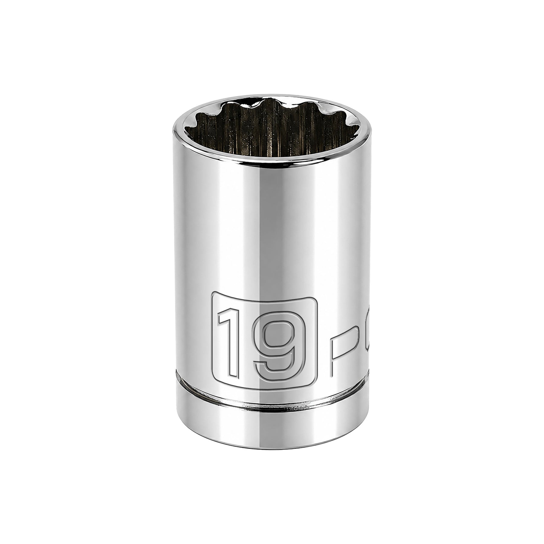 1/2 Inch Drive x 19 MM 12 Point Shallow Socket