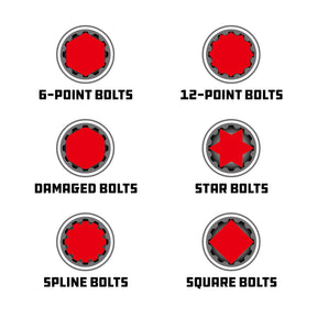 8 Piece 1/4 Inch Drive Universal Socket Set with Tray