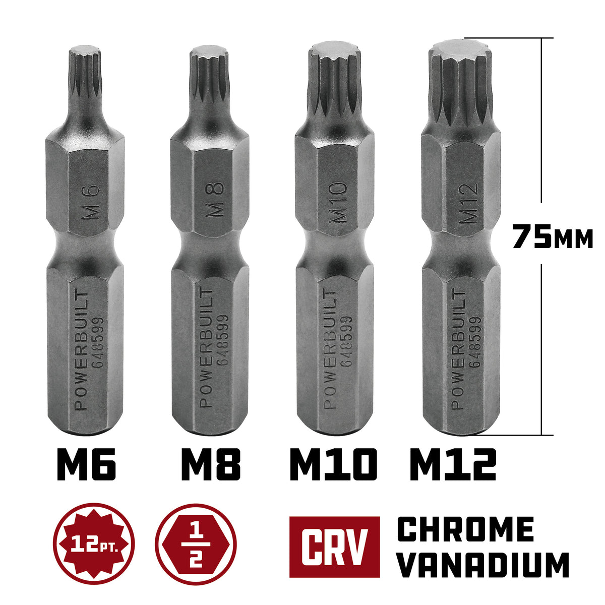 4 Piece 12 Point Internal Bit Set