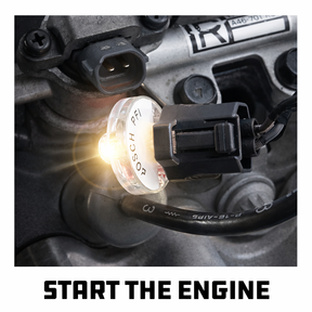 Deluxe Noid Test Light Set