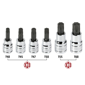 6 Piece 3/8 in. Dr. Torx Bit Socket Set